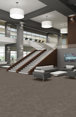 ESTHETIC-54918-DISTINCTION-00700-room-image